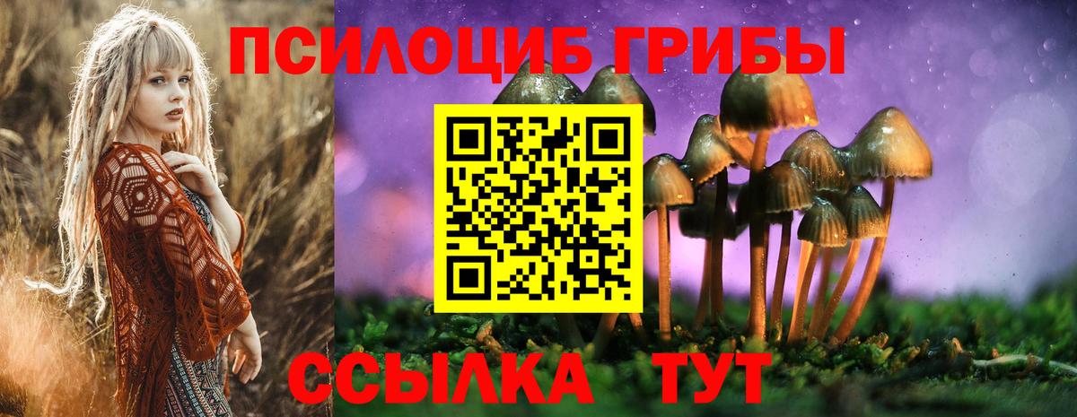 Владимир  Галлюциногенные грибы GOLDEN TEACHER  Галлюциногенные грибы ЛСД  Вход с VPN 